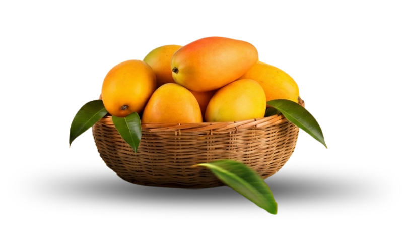 Mango Basket